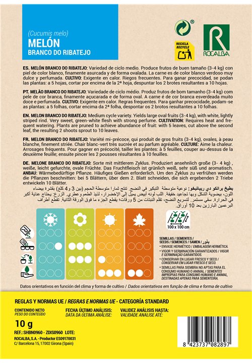 MELON BRANCO DO RIBATEJO
