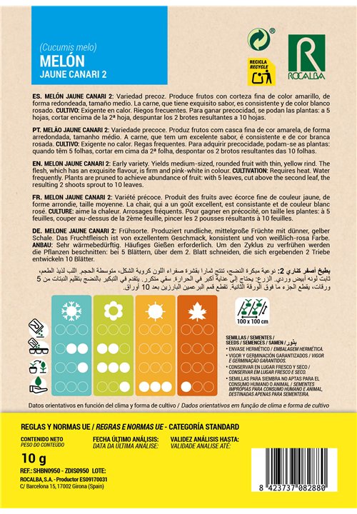 MELON JAUNE CANARI 2
