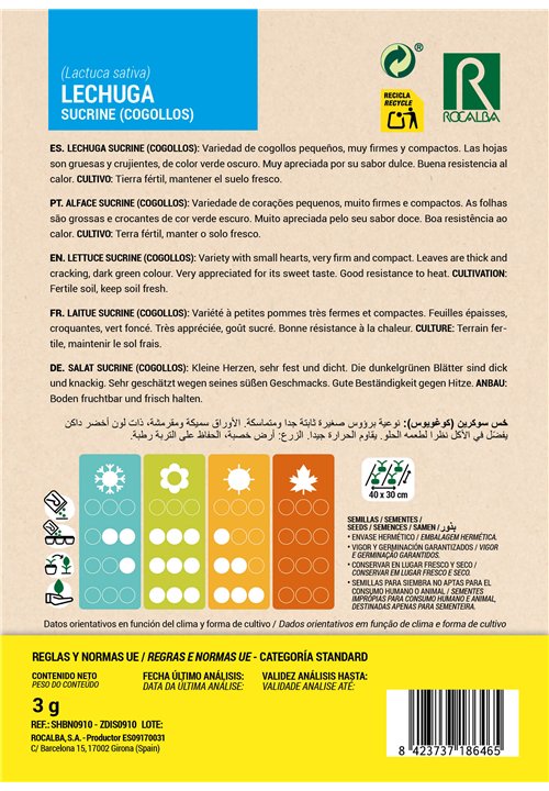 LAITUE SUCRINE (COGOLLOS)