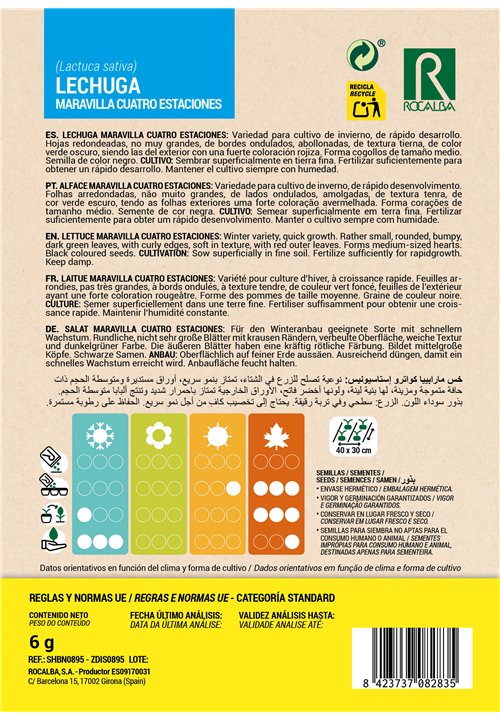 LAITUE MARAVILLA CUATRO ESTACIONES