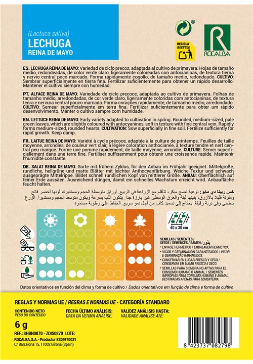 LAITUE REINA DE MAYO