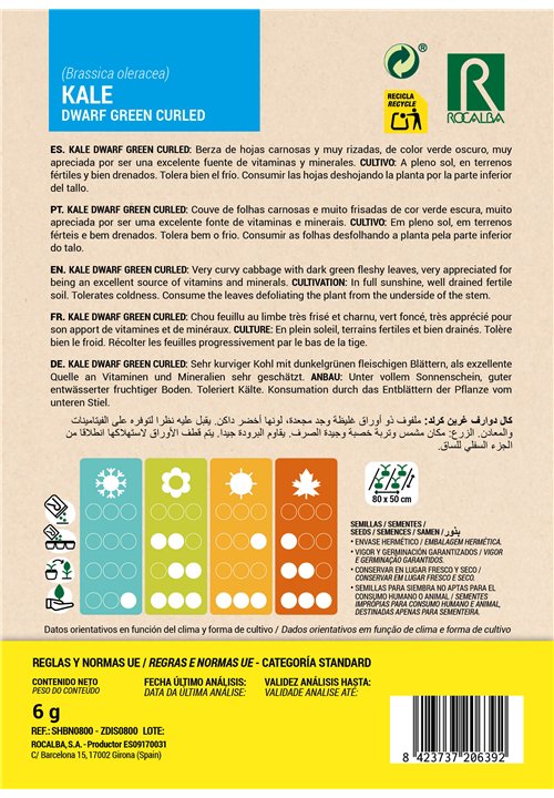 KALE DWARF GREEN CURLED