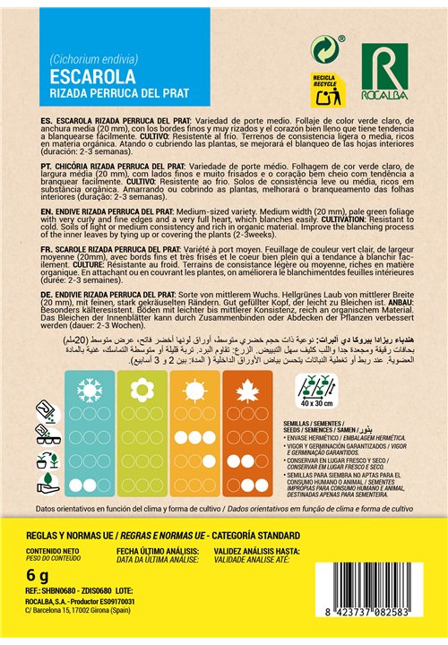 ENDIVE RIZADA PERRUCA DEL PRAT