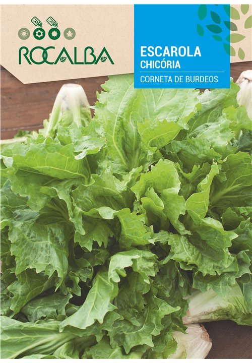 CHICÓRIA CORNETA DE BURDEOS