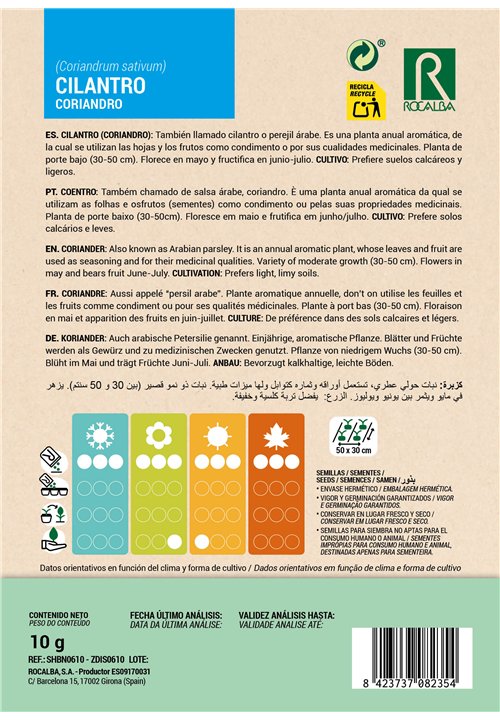 CILANTRO CORIANDRO