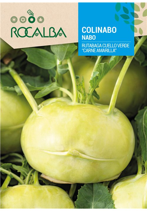 NABO RUTABAGA CUELLO VERDE