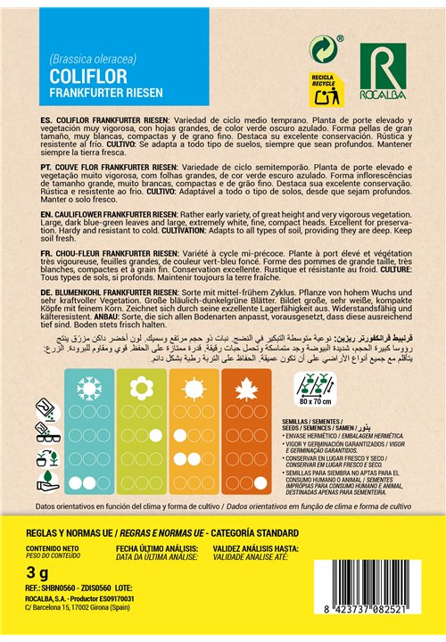 CHOU-FLEUR FRANKFURTER RIESEN