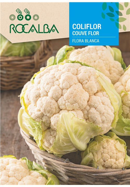 COUVE FLOR FLORA BLANCA