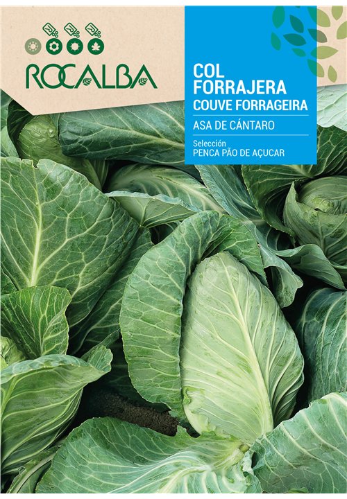 COUVE PENCA PÃO DE AÇUCAR