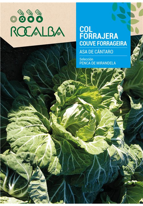 COUVE PENCA DE MIRANDELA