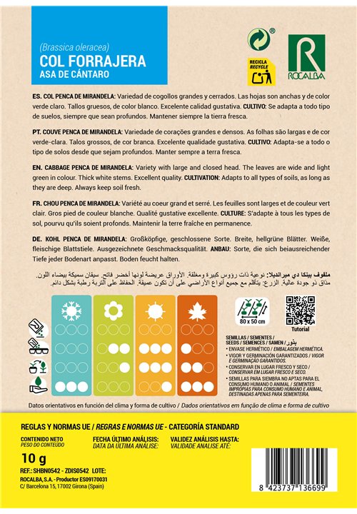 CHOU PENCA DE MIRANDELA