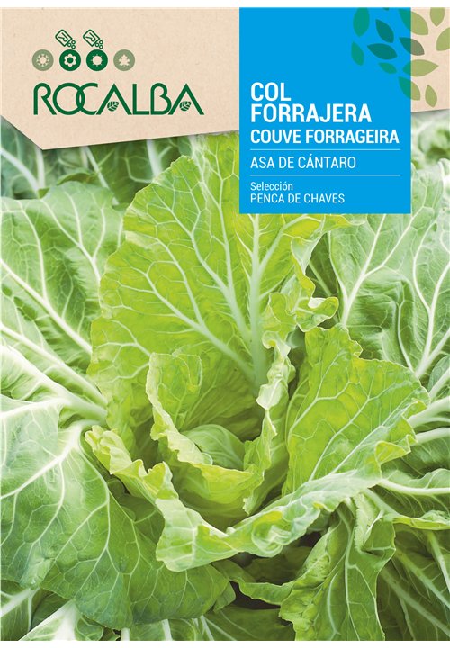 COUVE PENCA DE CHAVES