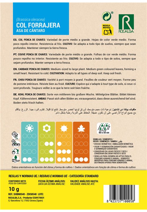 CHOU PENCA DE CHAVES