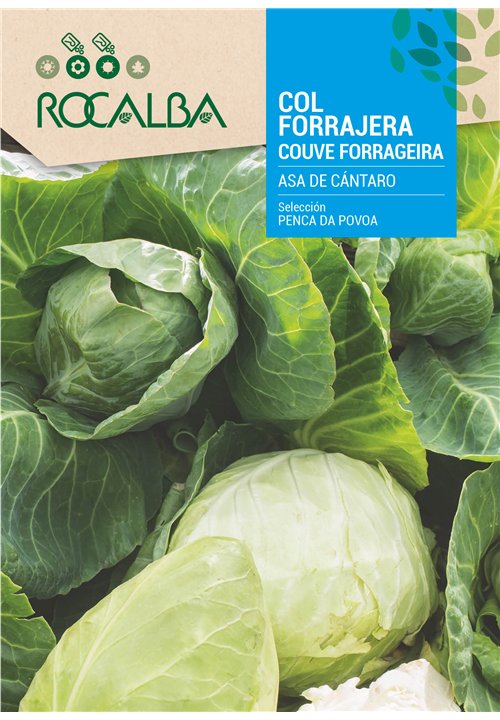 COUVE PENCA DA POVOA