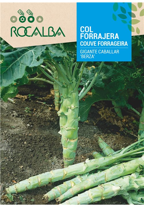 COUVE FORRAGEIRA GIGANTE CABALLAR 'BERZA'