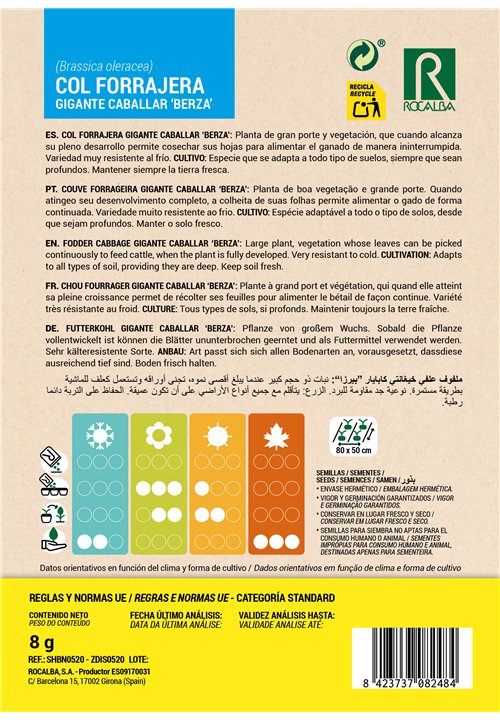 CHOU FOURRAGER GIGANTE CABALLAR 'BERZA'
