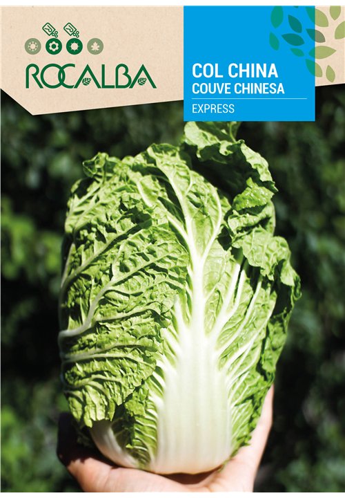 COUVE CHINESA EXPRESS