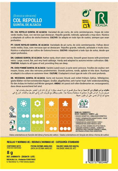 CHOU POMMÉ QUINTAL DE ALSACIA