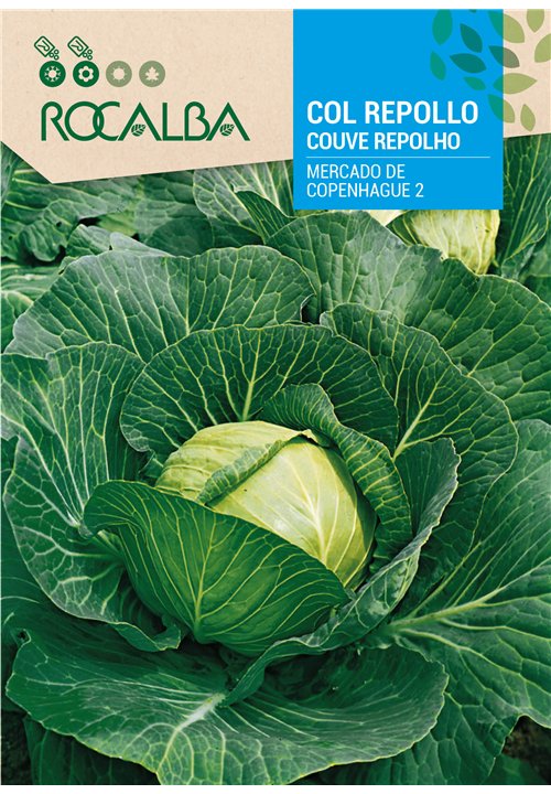 COUVE REPOLHO MERCADO DE COPENHAGUE 2