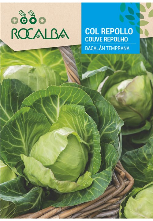 COUVE REPOLHO BACALÁN TEMPRANA