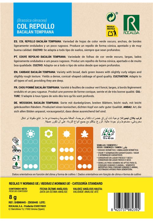 CHOU POMMÉ BACALÁN TEMPRANA