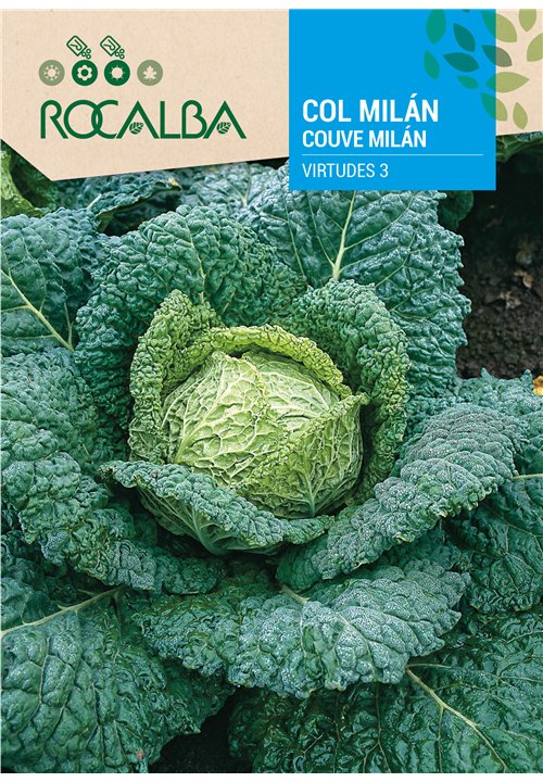 COUVE MILÁN VIRTUDES 3