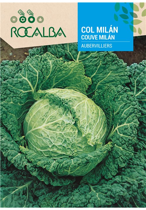 COUVE MILÁN AUBERVILLIERS