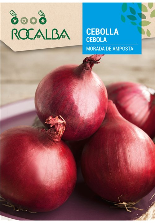 CEBOLA MORADA DE AMPOSTA
