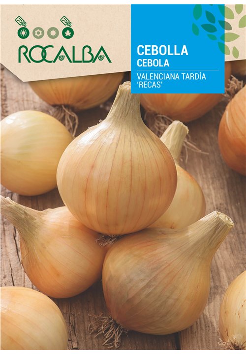 CEBOLA VALENCIANA TARDÍA 'RECAS'