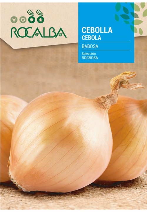 CEBOLA BABOSA SELECCIÓN ROCBOSA