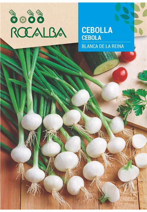 CEBOLA BLANCA DE LA REINA