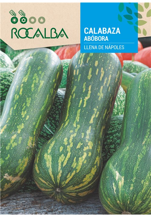 ABÓBORA LLENA DE NÁPOLES