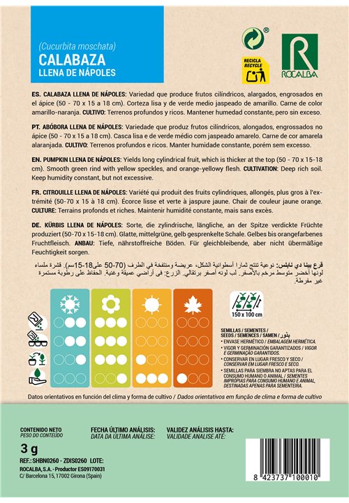 CITROUILLE LLENA DE NÁPOLES