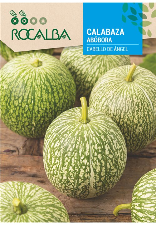 ABÓBORA CABELLO DE ÁNGEL