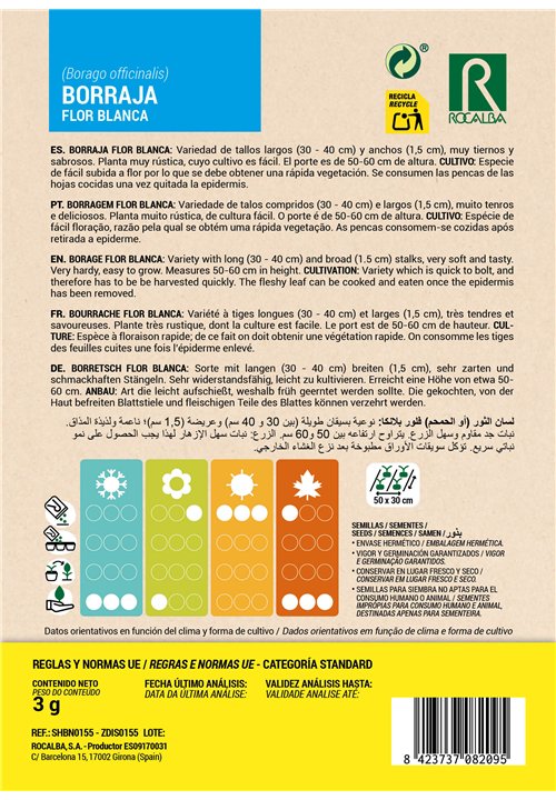 BOURRACHE FLOR BLANCA