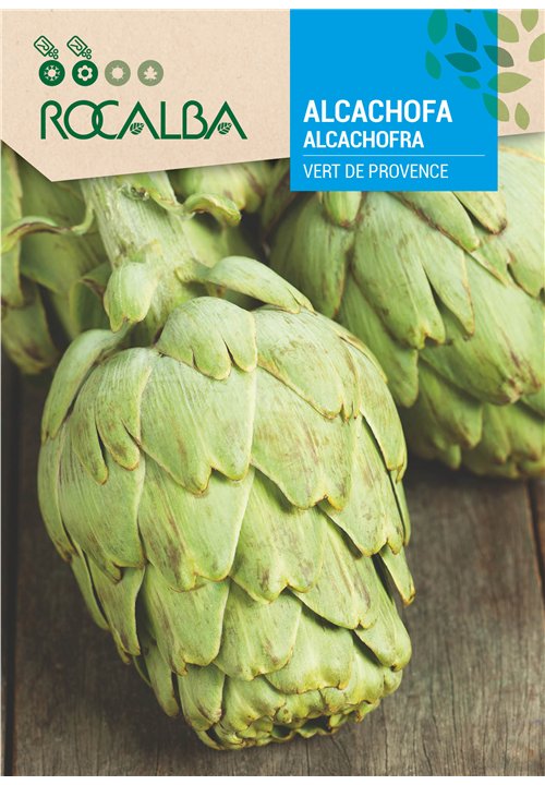 ALCACHOFRA VERT DE PROVENCE