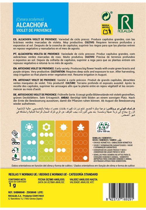 ARTICHAUT VIOLET DE PROVENCE