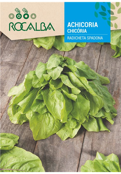 CHICÓRIA RADICHETA SPADONA