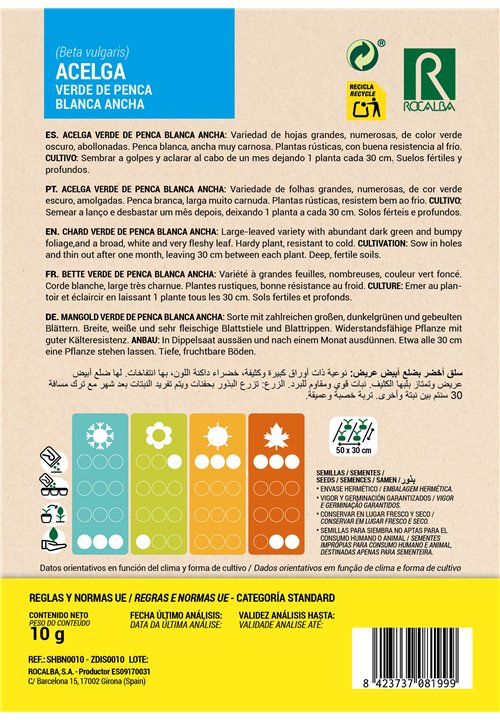 BETTE VERDE DE PENCA BLANCA ANCHA