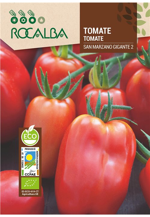 TOMATE SAN MARZANO GIGANTE 2