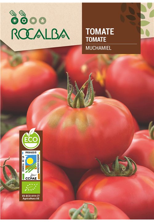 TOMATE MUCHAMIEL