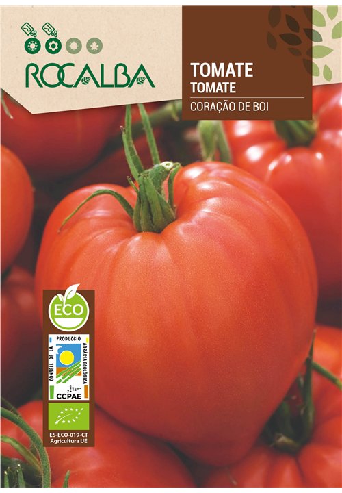 TOMATE CORAÇÃO DE BOI