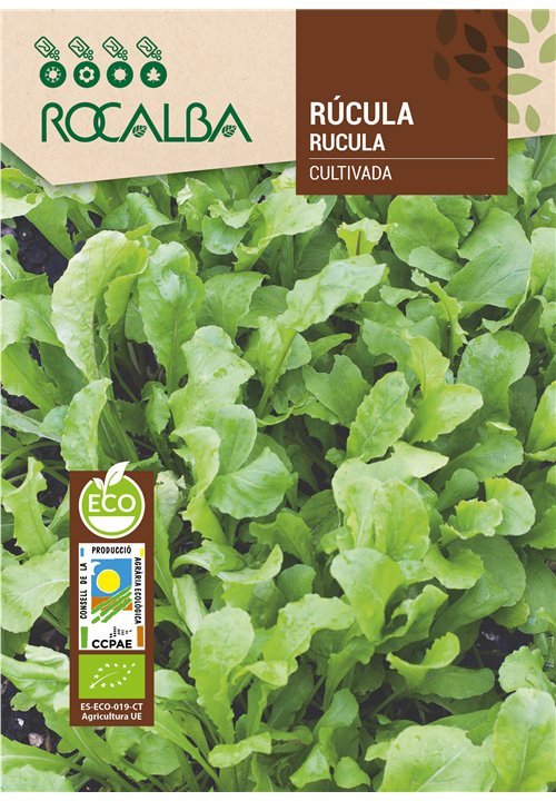 RÚCULA