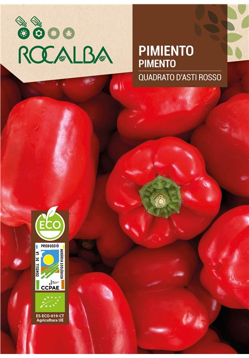 PIMIENTO QUADRATO D'ASTI GIALLO