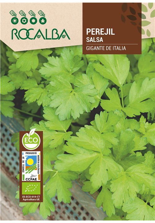 PEREJIL GIGANTE DE ITALIA