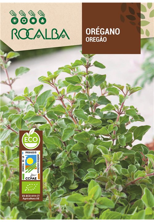 ORÉGANO