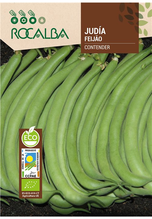 JUDÍA CONTENDER