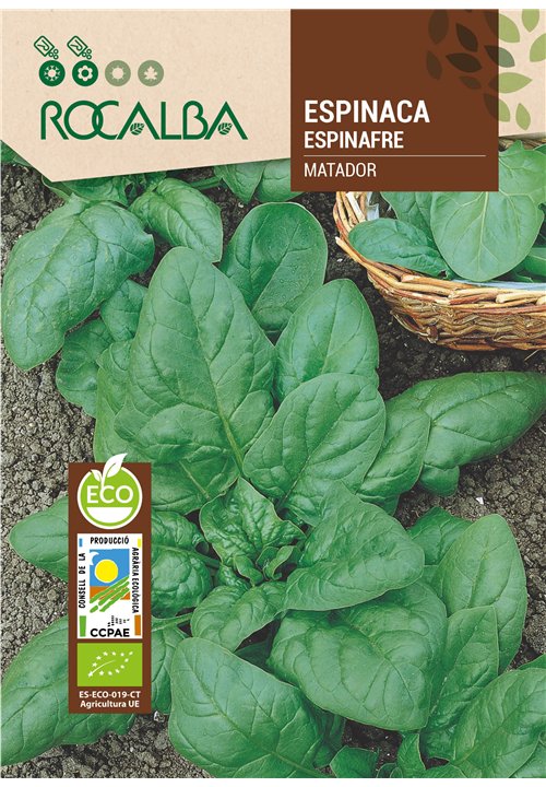 ESPINACA MATADOR