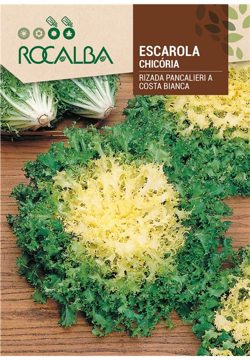 ESCAROLA RIZADA PANCALIERI