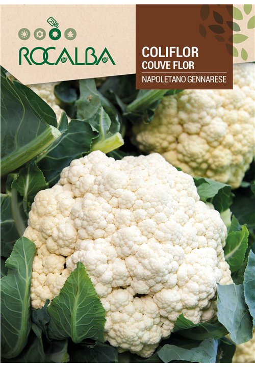 COLIFLOR NAPOLETANO GENNARESE